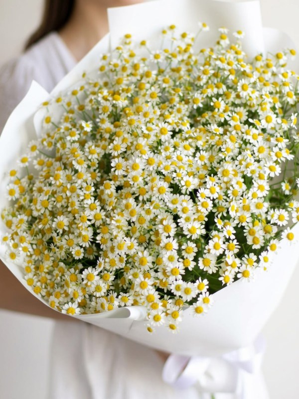 Buchet din 21 de ramuri de tanacetum în design alb