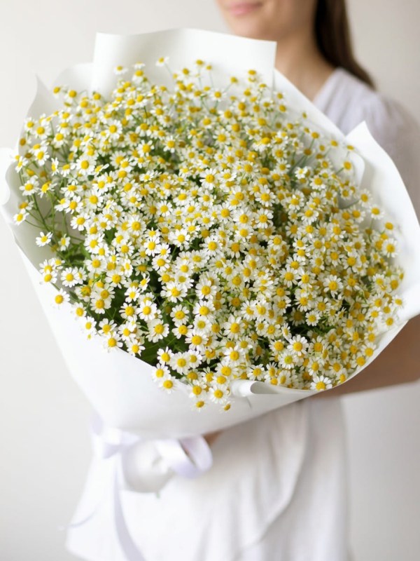 Buchet din 21 de ramuri de tanacetum în design alb