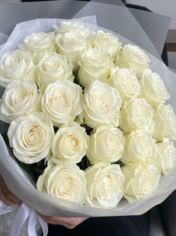 Buchet de 25 de trandafiri albi în ambalaj deschis