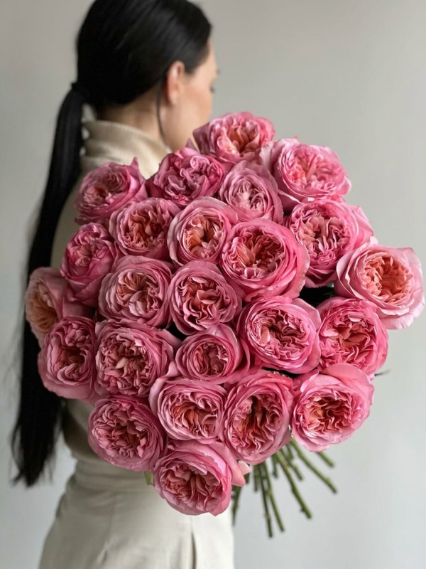 Buchet din 25 de trandafiri tip bujor Pink Expression legat cu panglică
