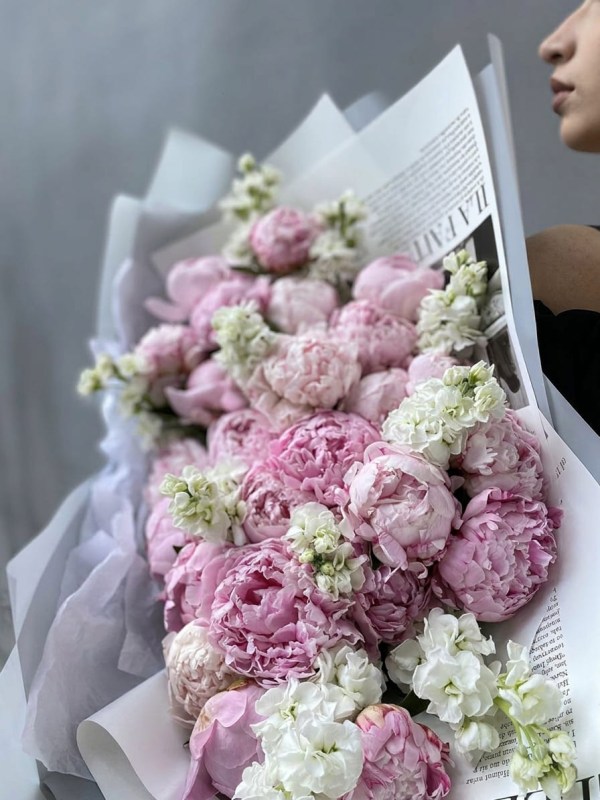 Buchet de 25 de bujori roz cu matthiola alba