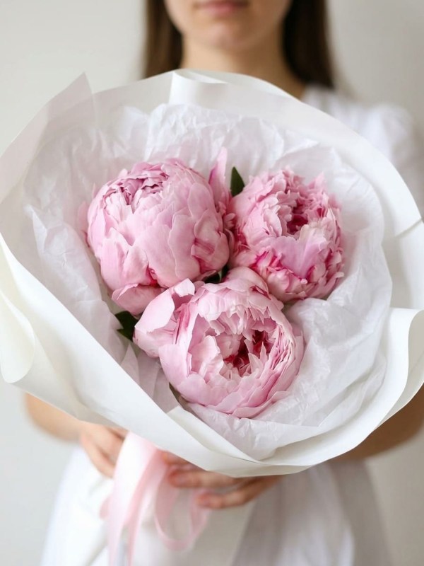 Buchet de 3 bujori Sarah Bernhardt
