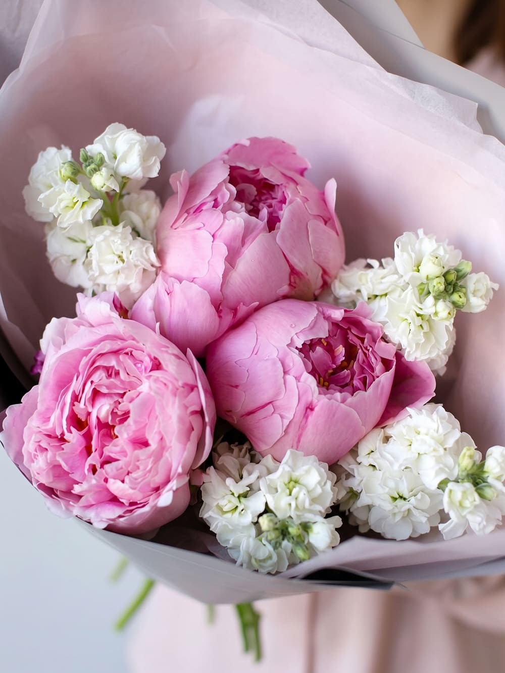 Buchet de 3 bujori roz cu matthiola alba