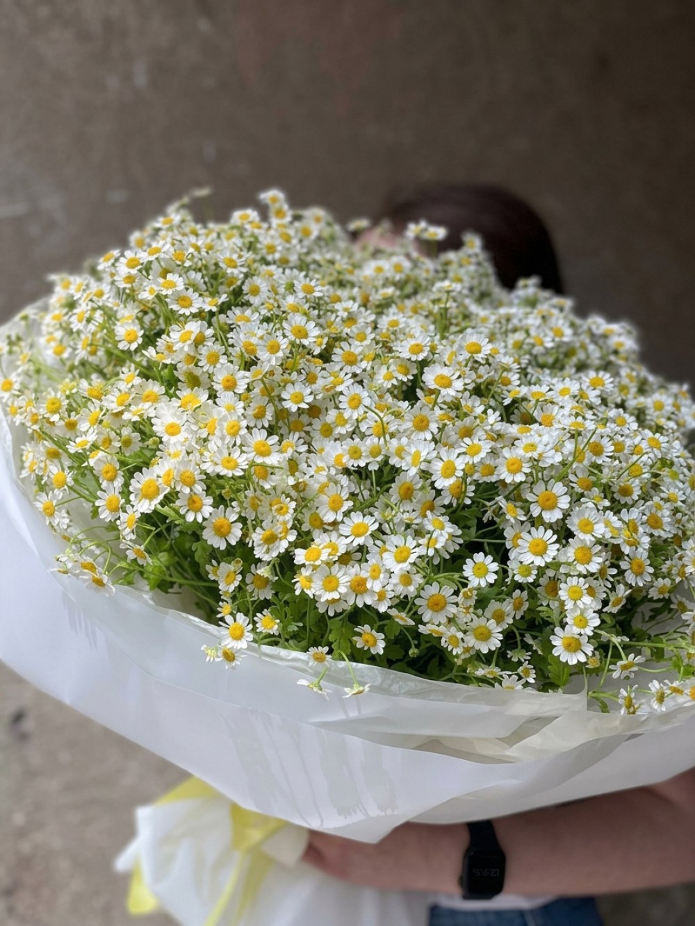 Buchet din 31 de ramuri de tanacetum în design alb