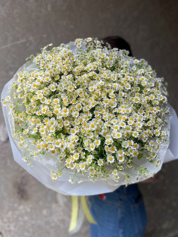 Buchet din 31 de ramuri de tanacetum în design alb