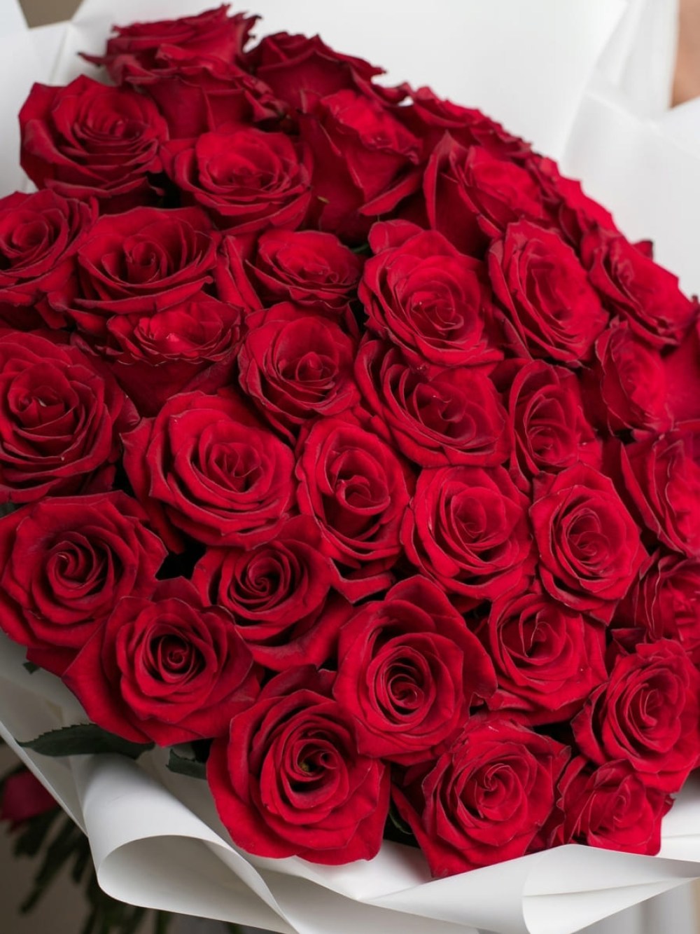 Bouquet of 35 red roses in white packaging