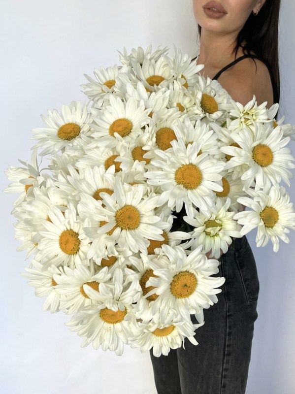 Buchet de 35 de margarete de grădină legat cu panglică