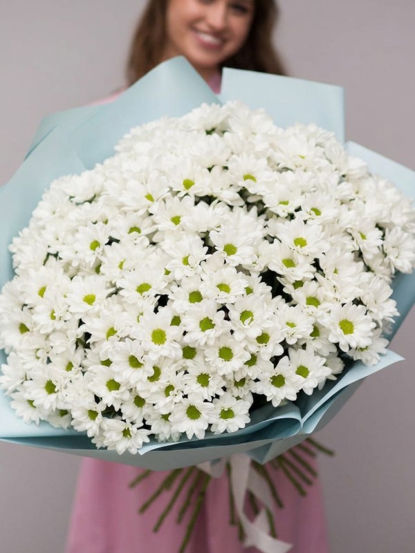 Bouquet of 35 branches of chamomile chrysanthemum in blue packaging