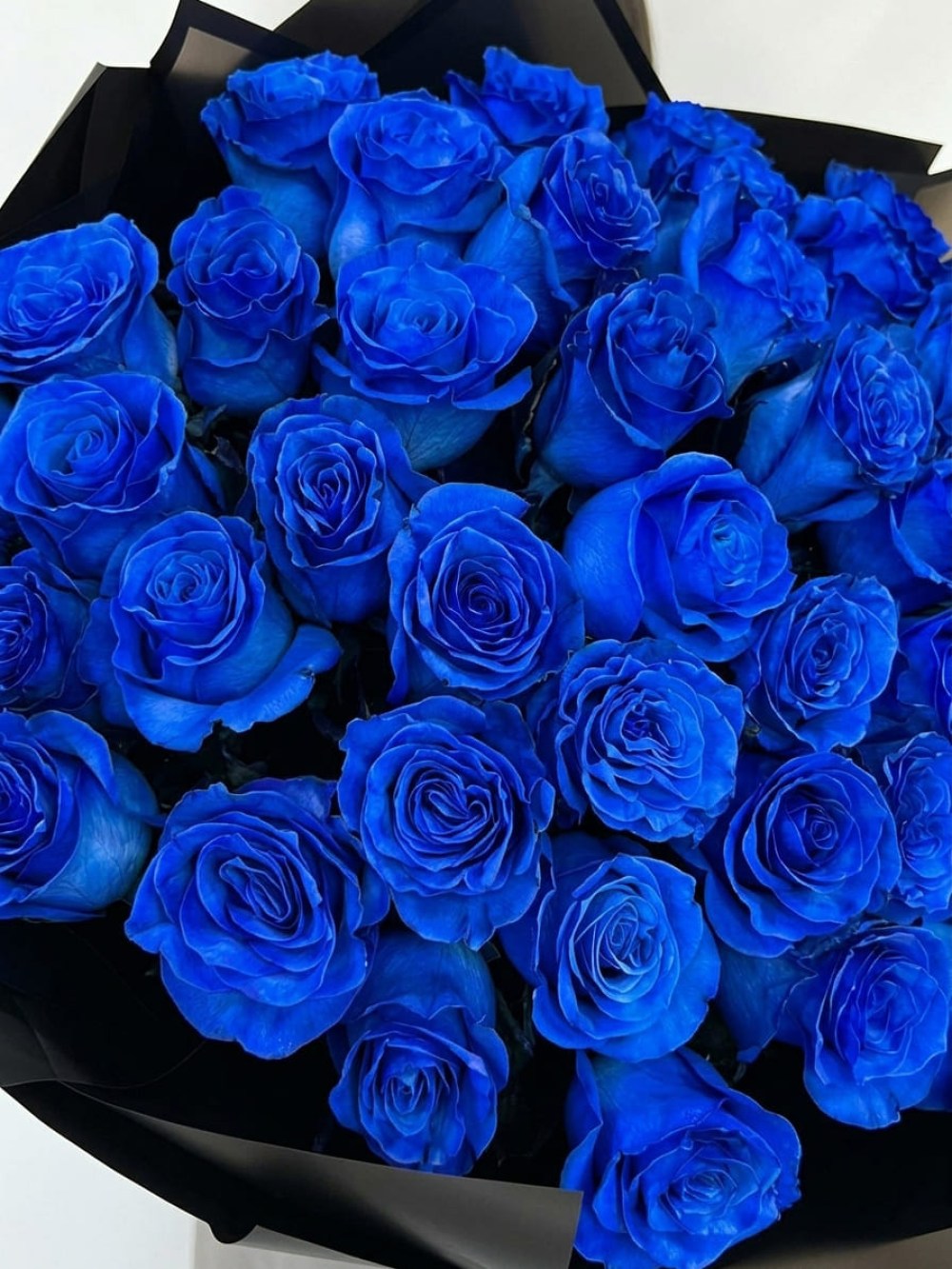 Buchet de 41 de trandafiri albastri Mondial Blue
