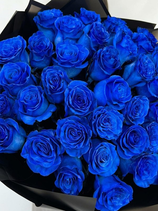 Buchet de 41 de trandafiri albastri Mondial Blue