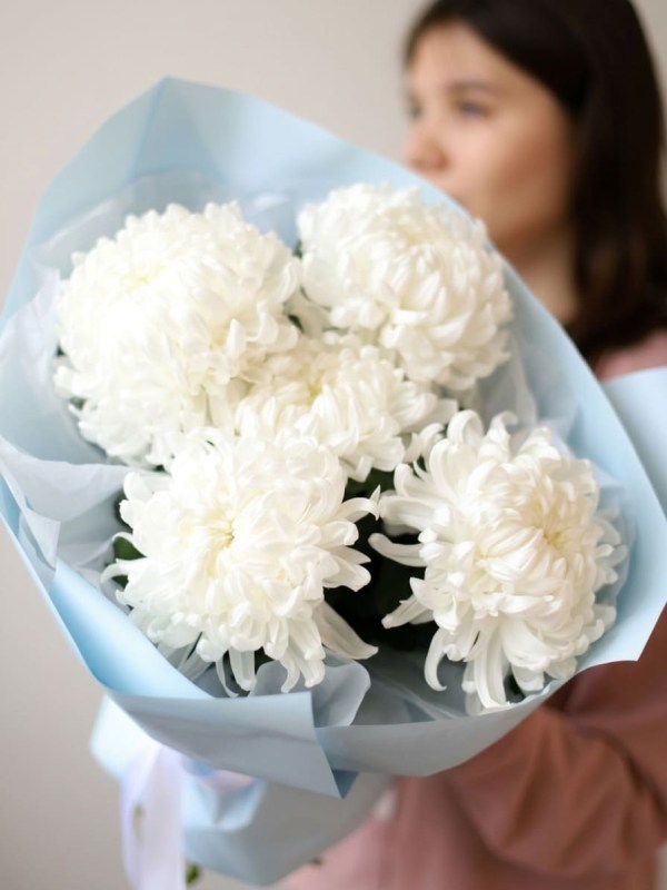Buchet de 5 crizanteme albe Magnum în ambalaj albastru