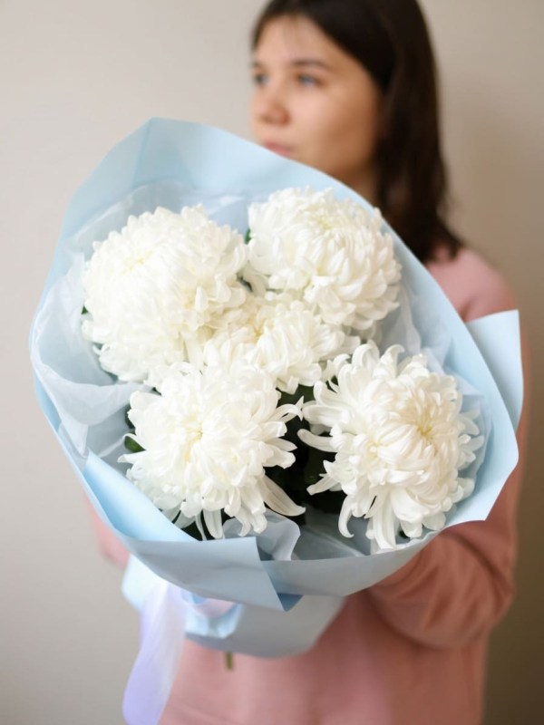 Buchet de 5 crizanteme albe Magnum în ambalaj albastru
