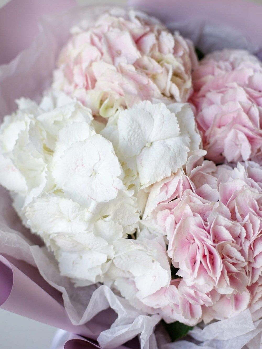 Buchet de 5 hortensii albe si roz