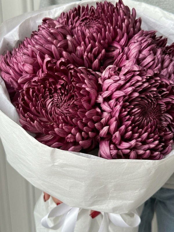 Buchet de 5 crizanteme mov Bigudiuri