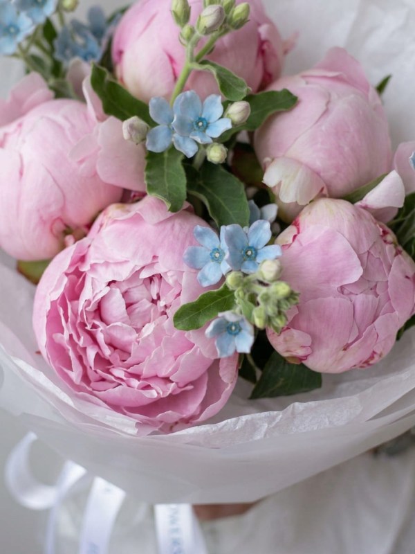 Buchet de bujori Sarah Bernhardt cu oxipetalum