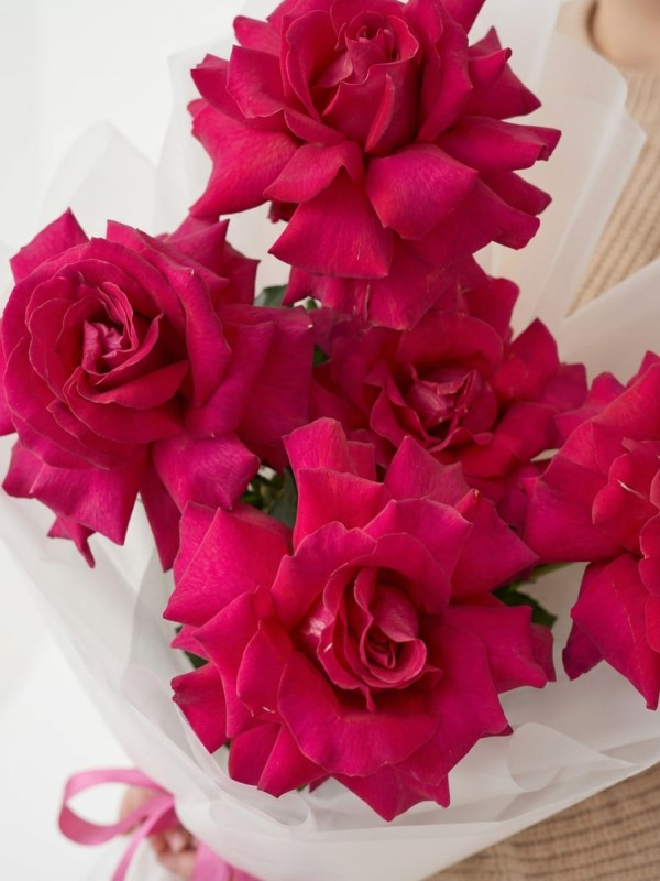 Buchet de 5 trandafiri francezi purpuri