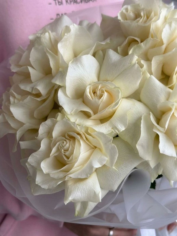 Buchet de 7 trandafiri albi francezi