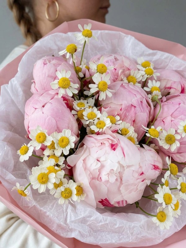 Buchet de 7 bujori Sarah Bernhardt cu tanacetum
