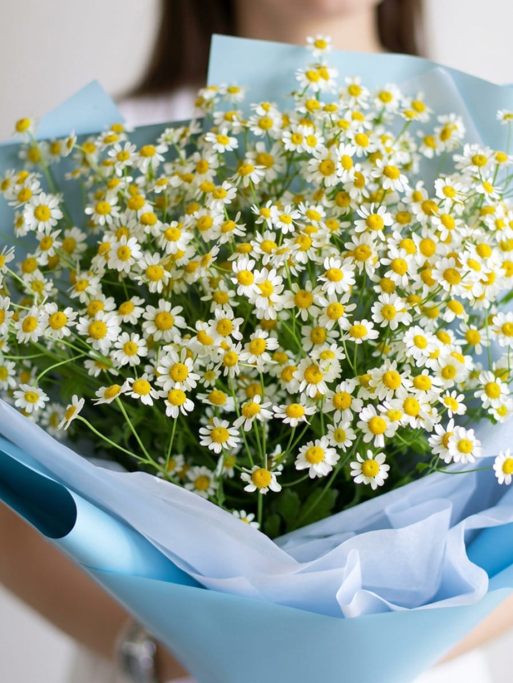 Buchet din 7 ramuri de tanacetum cu design albastru