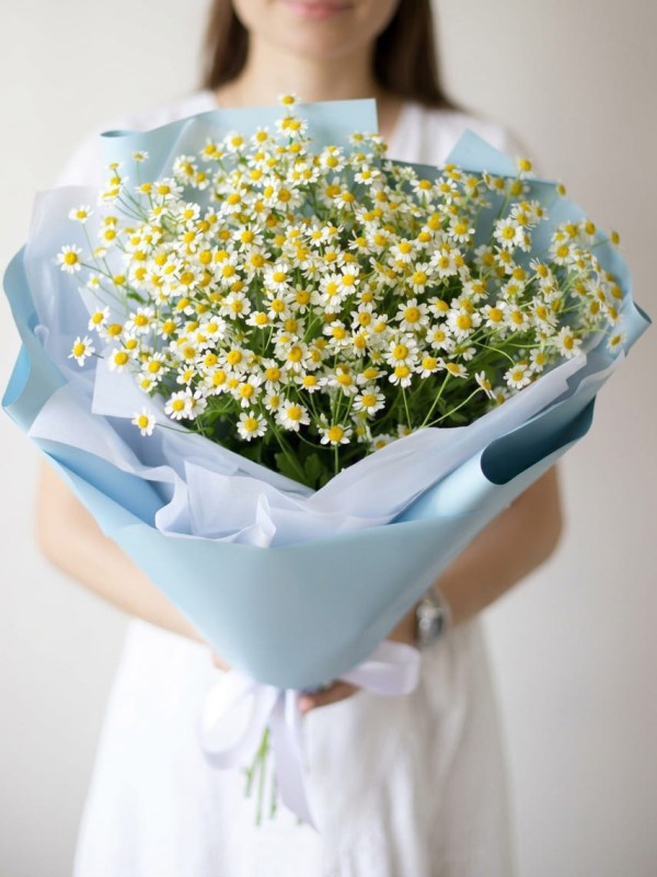 Buchet din 7 ramuri de tanacetum cu design albastru