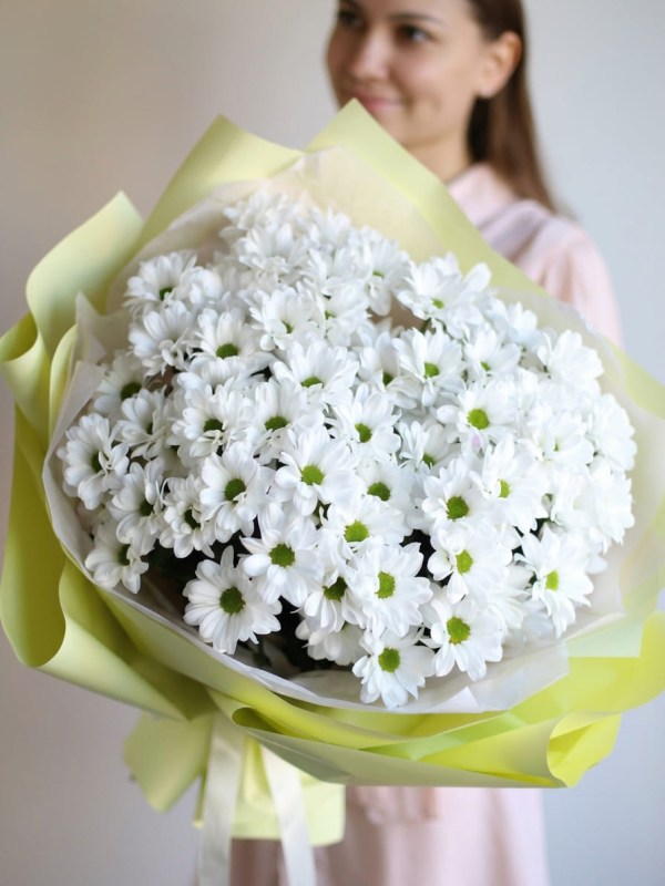 Buchet de 9 crizanteme albe de mușețel în ambalaj verde deschis