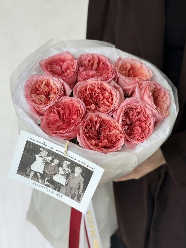 Buchet de 9 trandafiri tip bujor Pink Expression