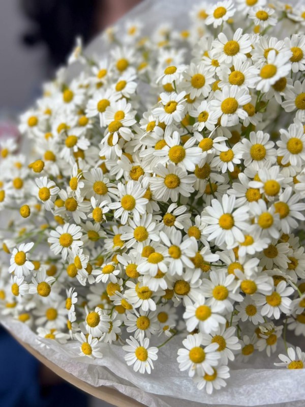 Buchet de 9 ramuri de tanacetum în design artizanal
