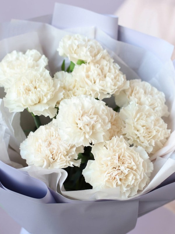 Buchet de 11 dianthus alb