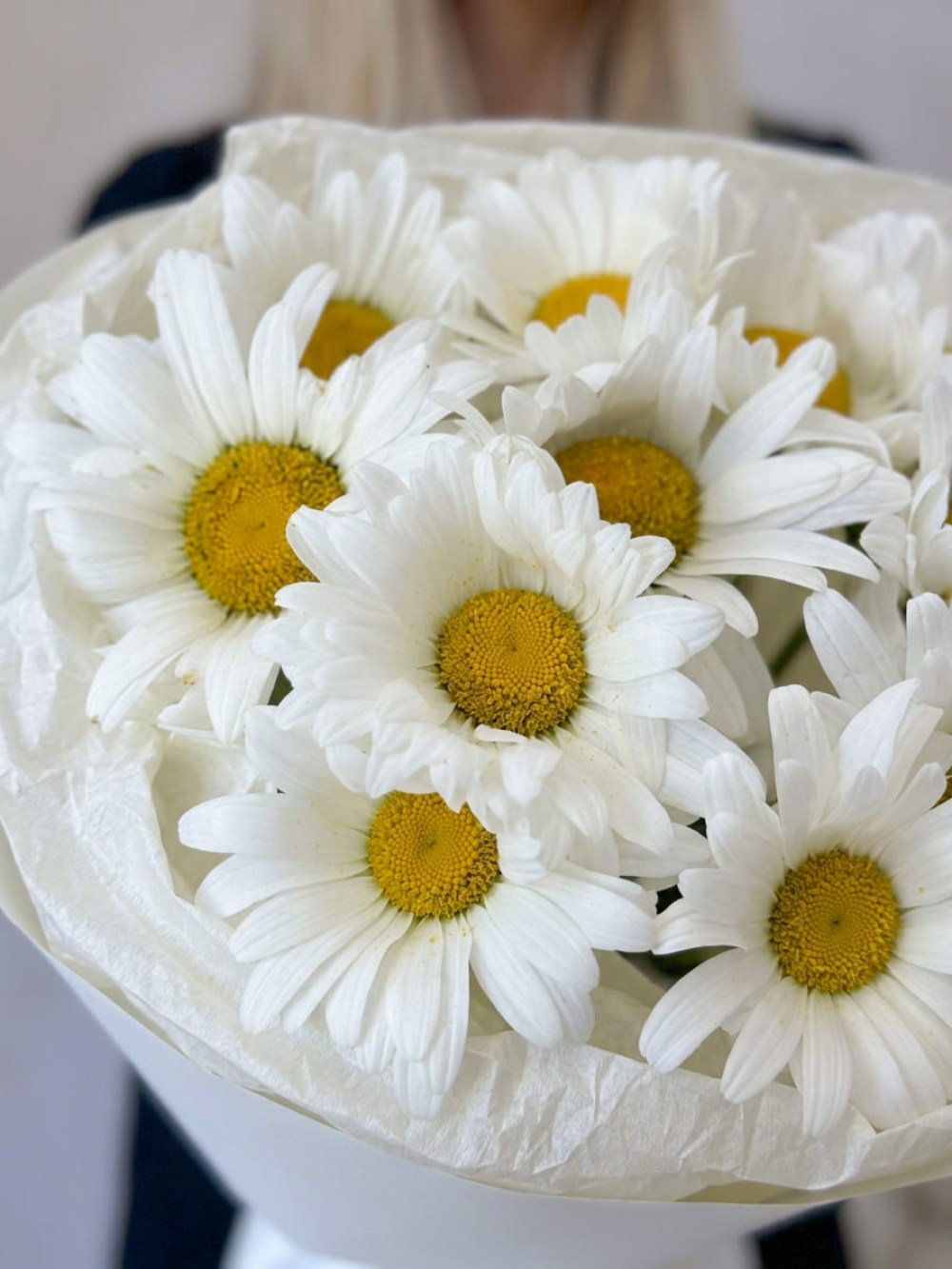 Bouquet of 15 garden daisies