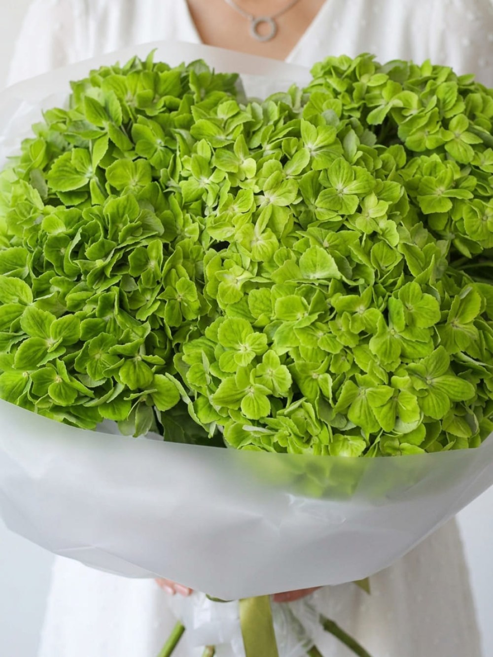 Buchet de hortensii verzi în ambalaj deschis