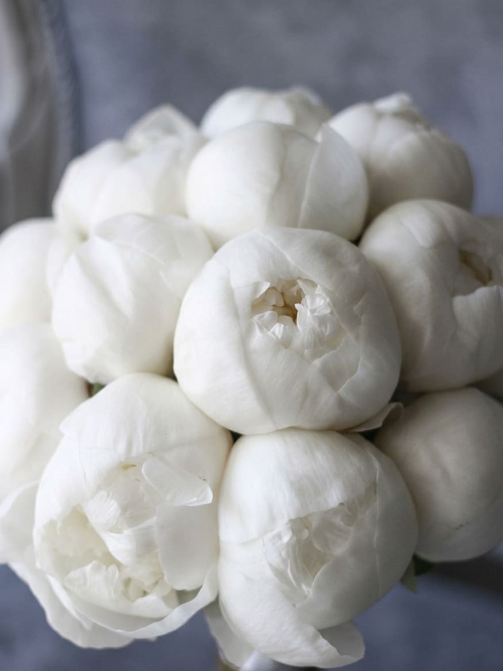 Bridal bouquet of 19 white peonies