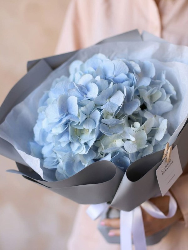Buchet cu hortensie albastră în ambalaj gri