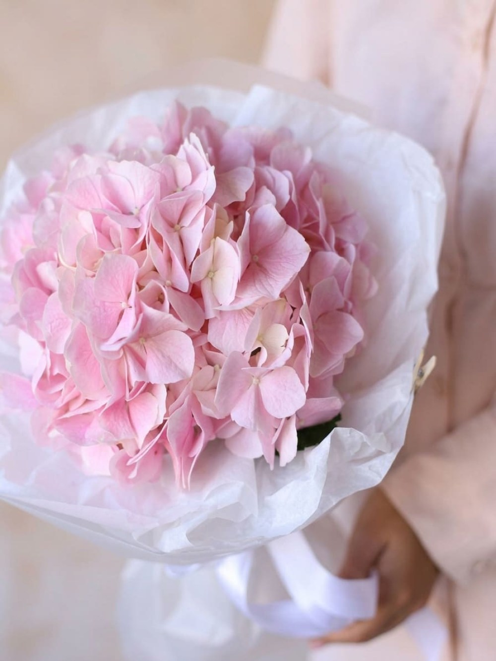 Buchet cu hortensie roz în ambalaj alb