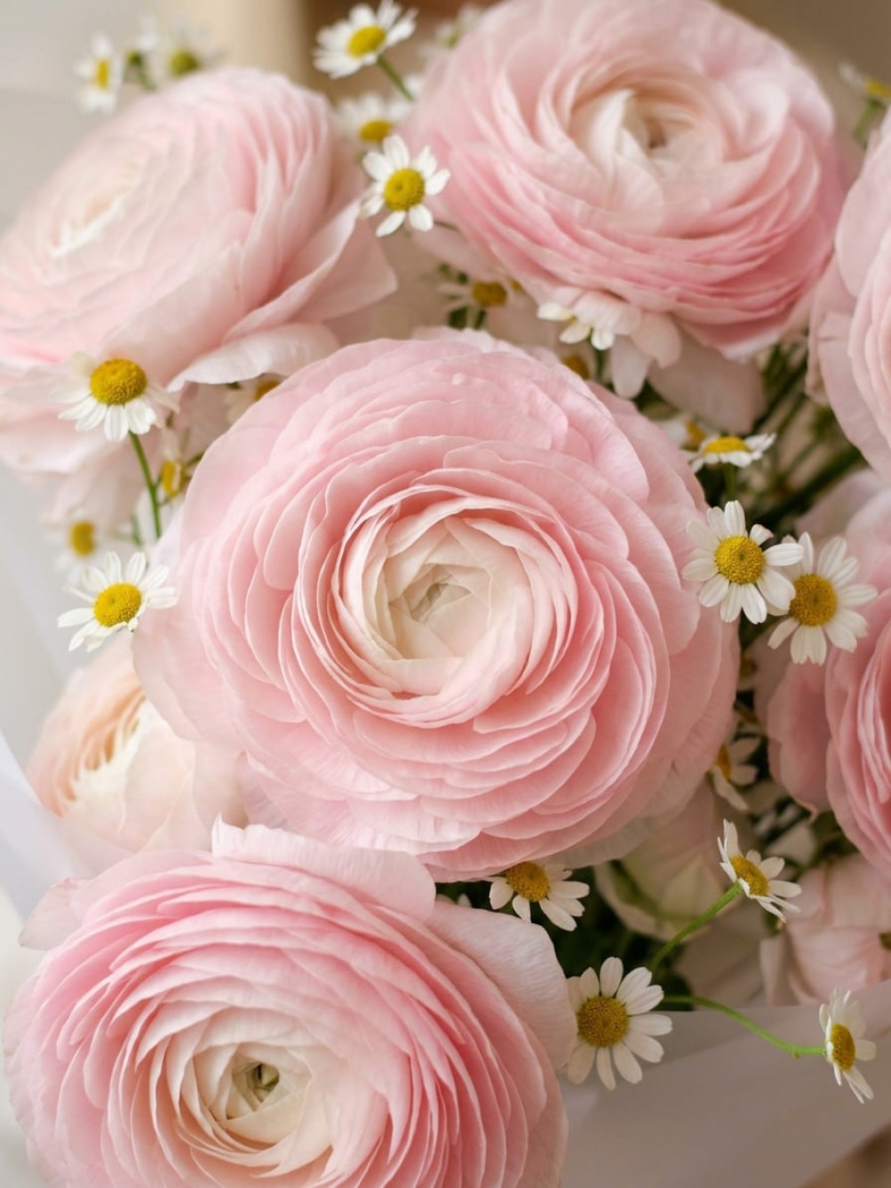 Bouquet with pink ranunculus and tanacetum