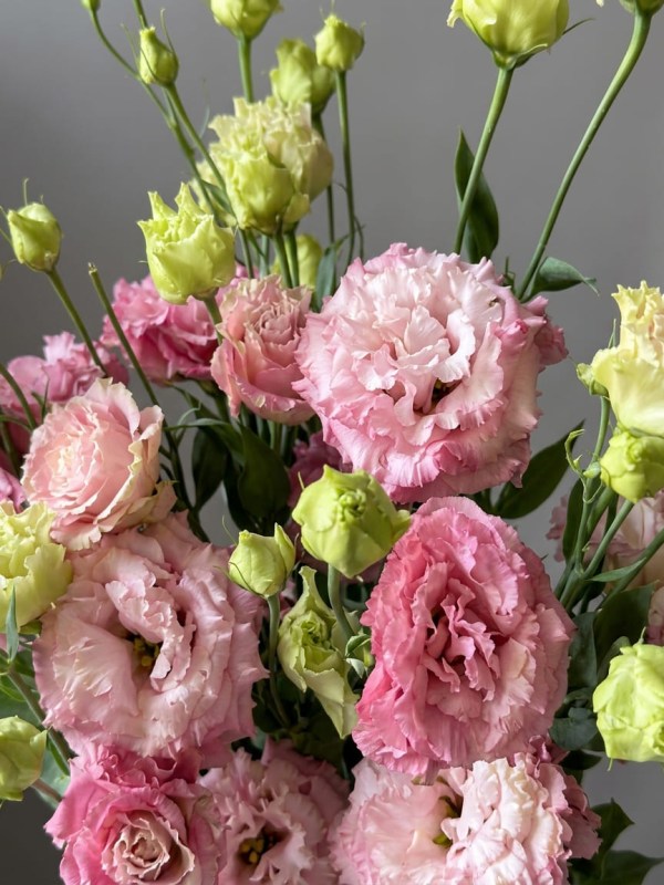 Bunch din 5 lisianthus roz