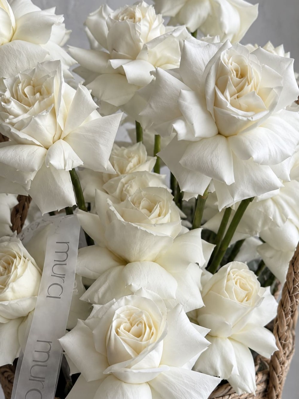 Basket with White French Roses