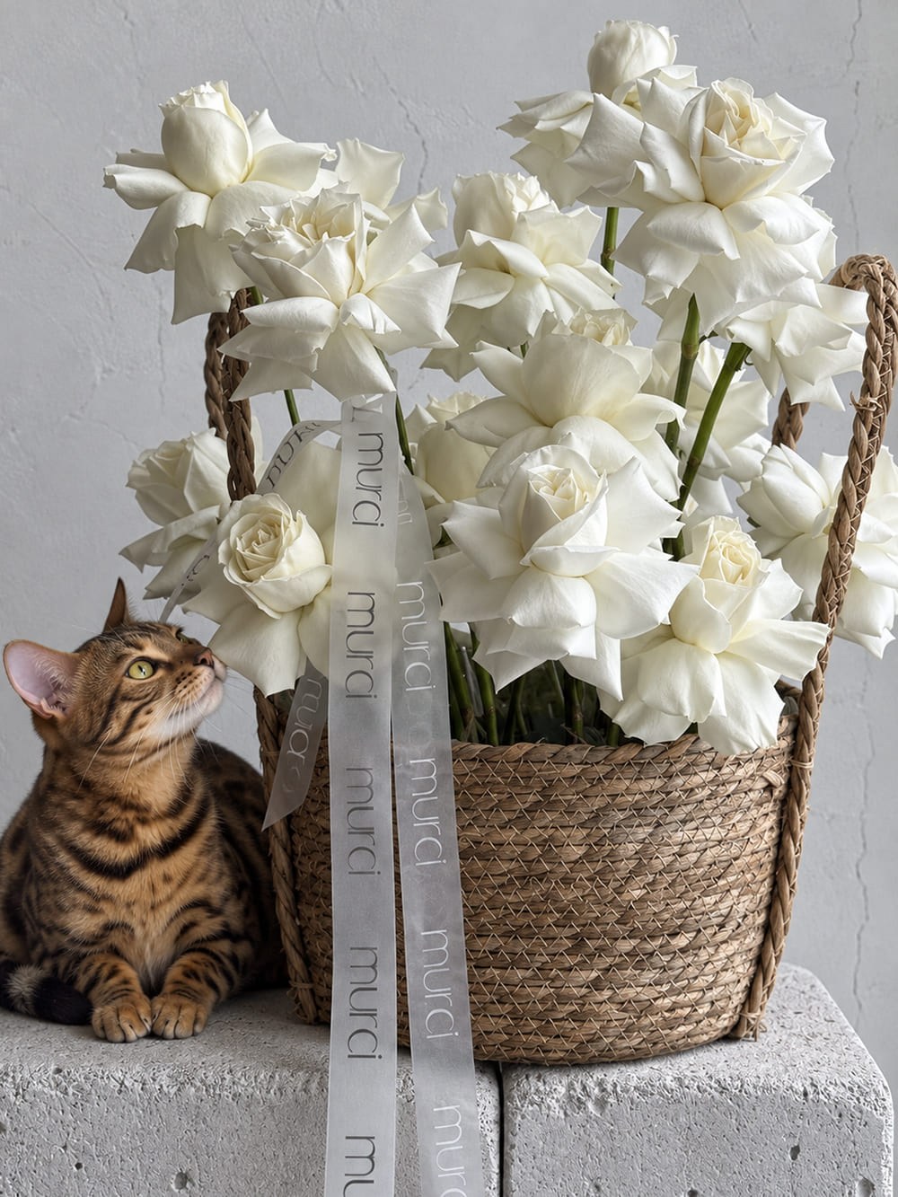 Basket with White French Roses