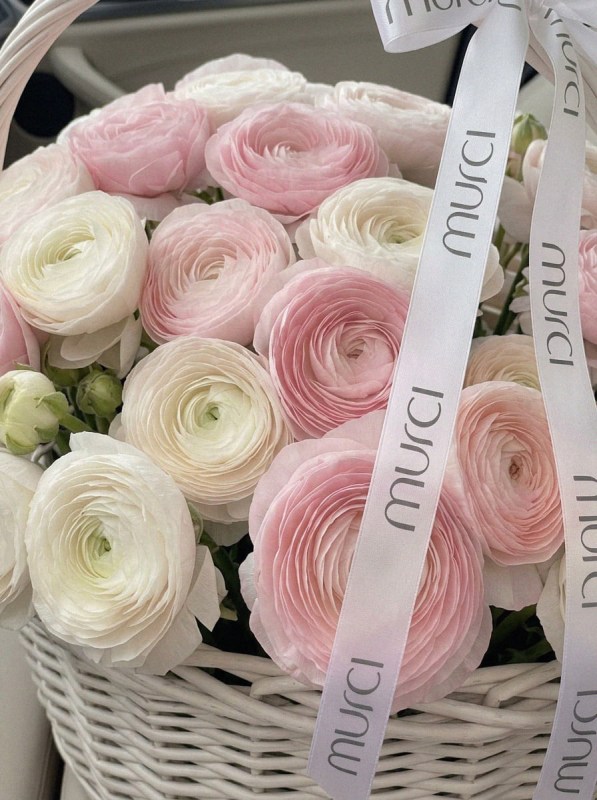 Premium Basket of 51 Ranunculus