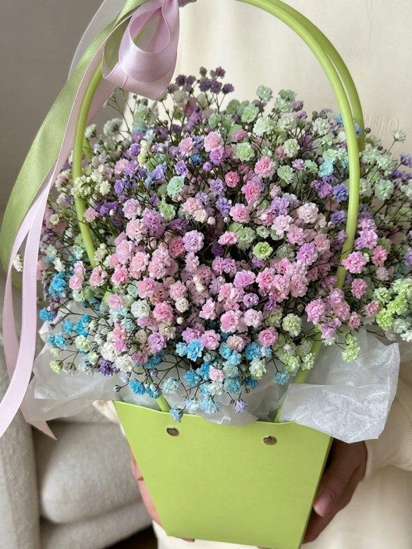 Compoziție din 5 ramuri de gypsophila colorată într-o cutie tip geantă verde deschis