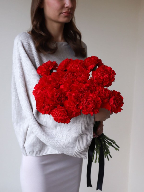 Red carnations (20 pcs)