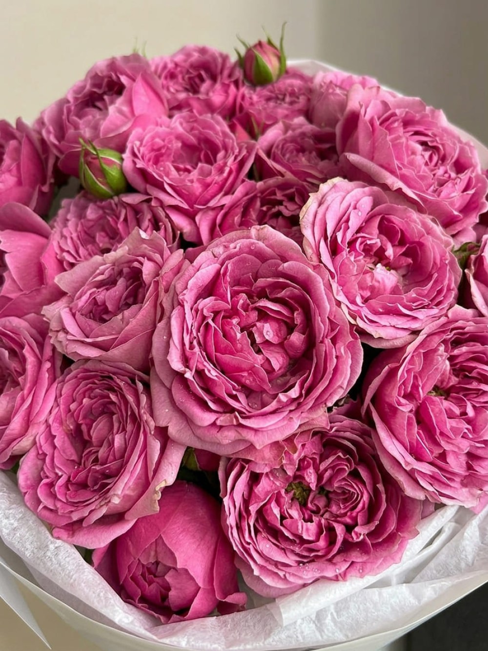 Raspberry Misty Bubbles spray rose bouquet