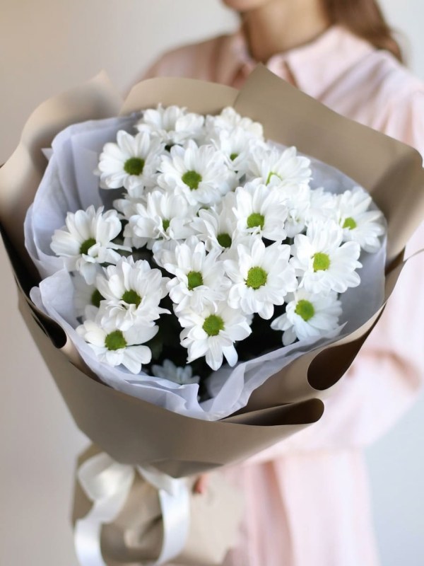 Mini buchet de crizanteme de mușețel la pachet