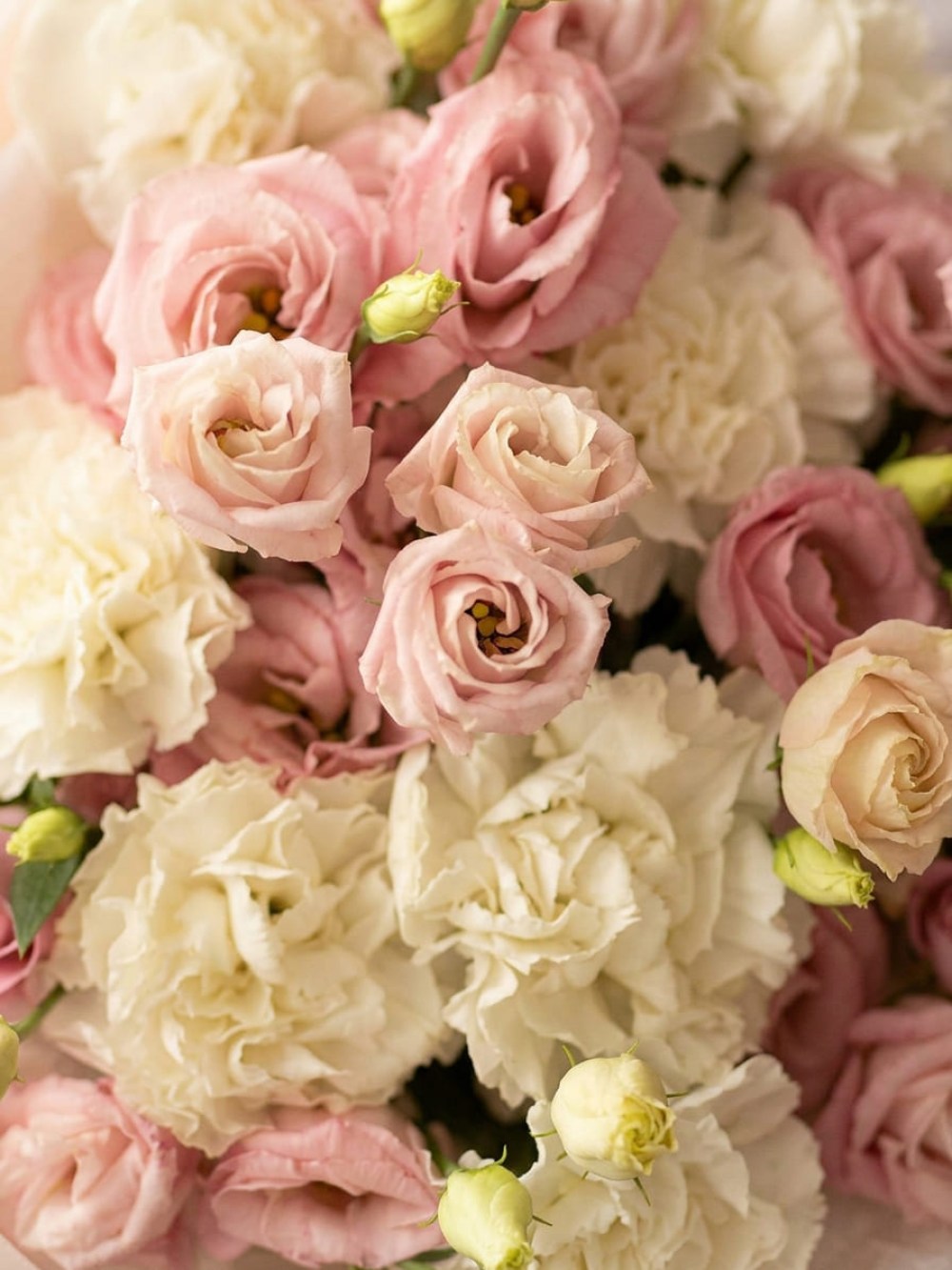 Buchet delicat cu dianthus și eustoma