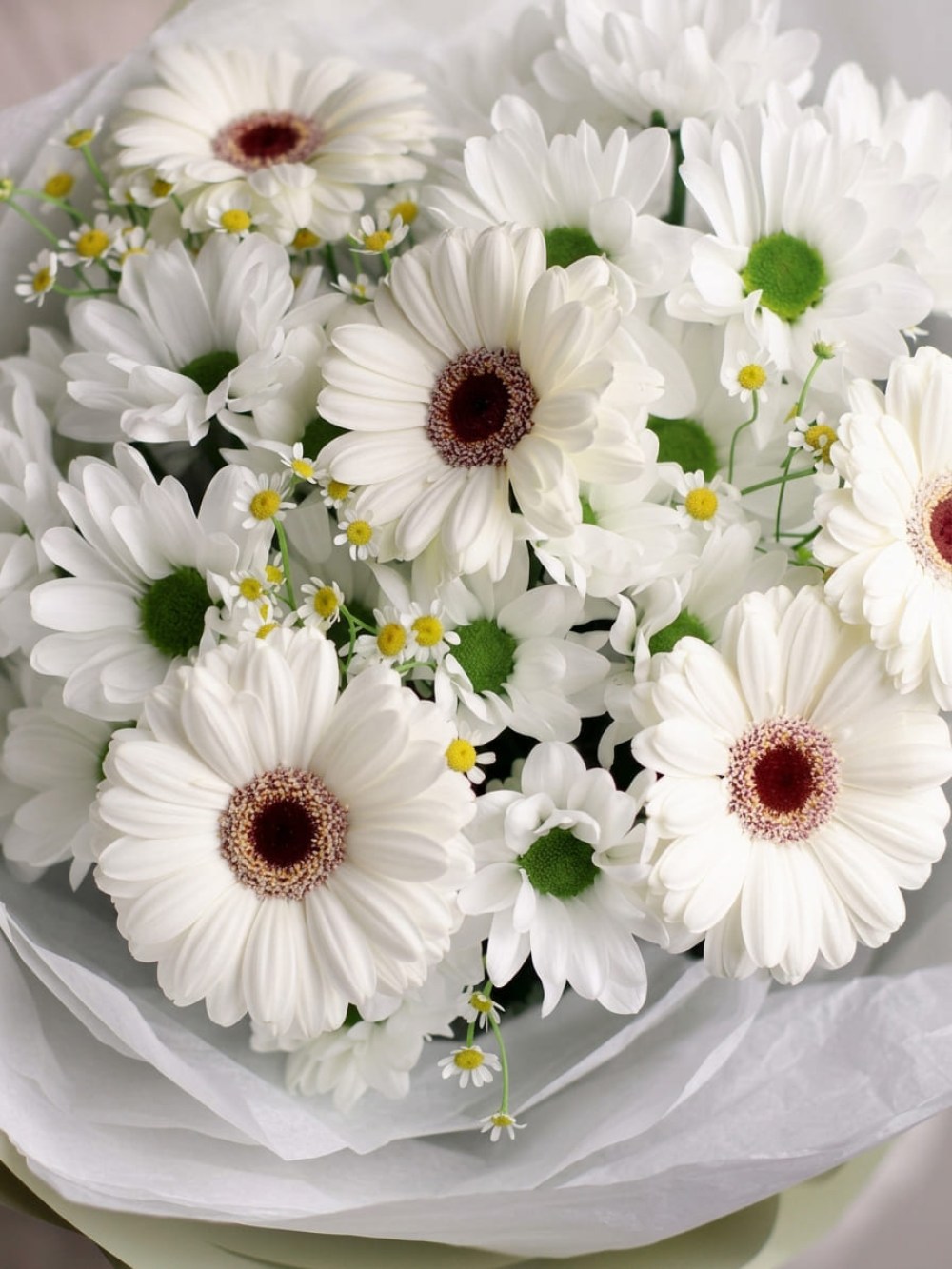 Light-toned mixed bouquet with daisies