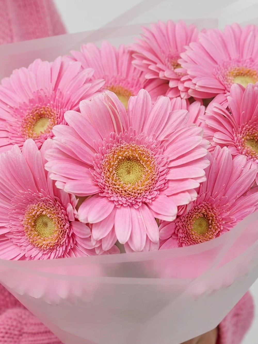 Bright bouquet of pink gerberas