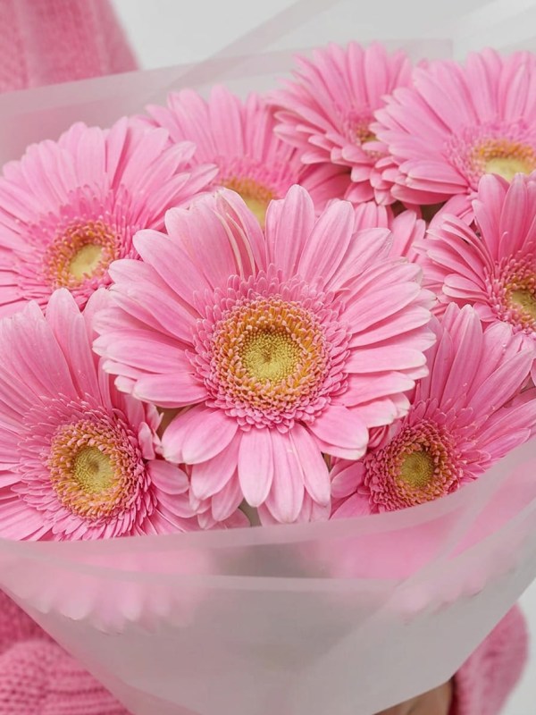 Buchet luminos de gerbere roz