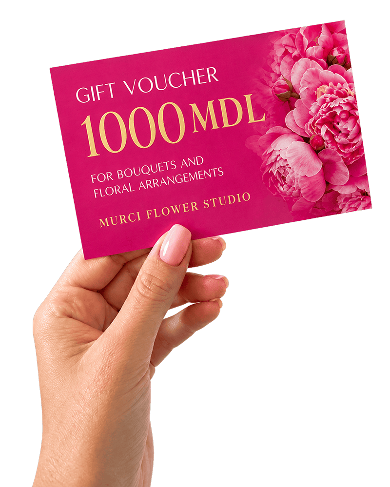 MURCI gift voucher for 1000 MDL