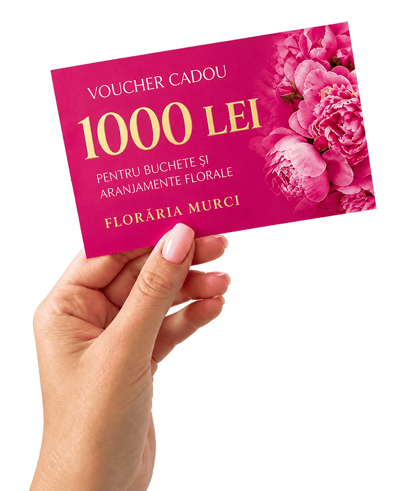 Voucher cadou MURCI de 1000 lei